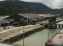 Alaska Cruise 2015 321