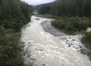 Alaska Cruise 2015 328