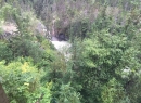 Alaska Cruise 2015 331