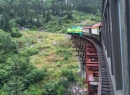 Alaska Cruise 2015 339