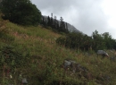 Alaska Cruise 2015 343