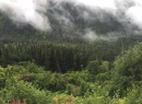 Alaska Cruise 2015 344