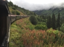 Alaska Cruise 2015 345