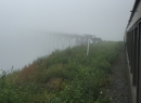 Alaska Cruise 2015 348