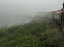 Alaska Cruise 2015 351