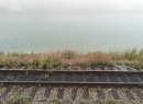 Alaska Cruise 2015 356