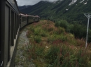 Alaska Cruise 2015 377
